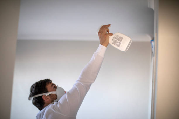 Reliable Holly Ridge, NC Mold Removal Solutions